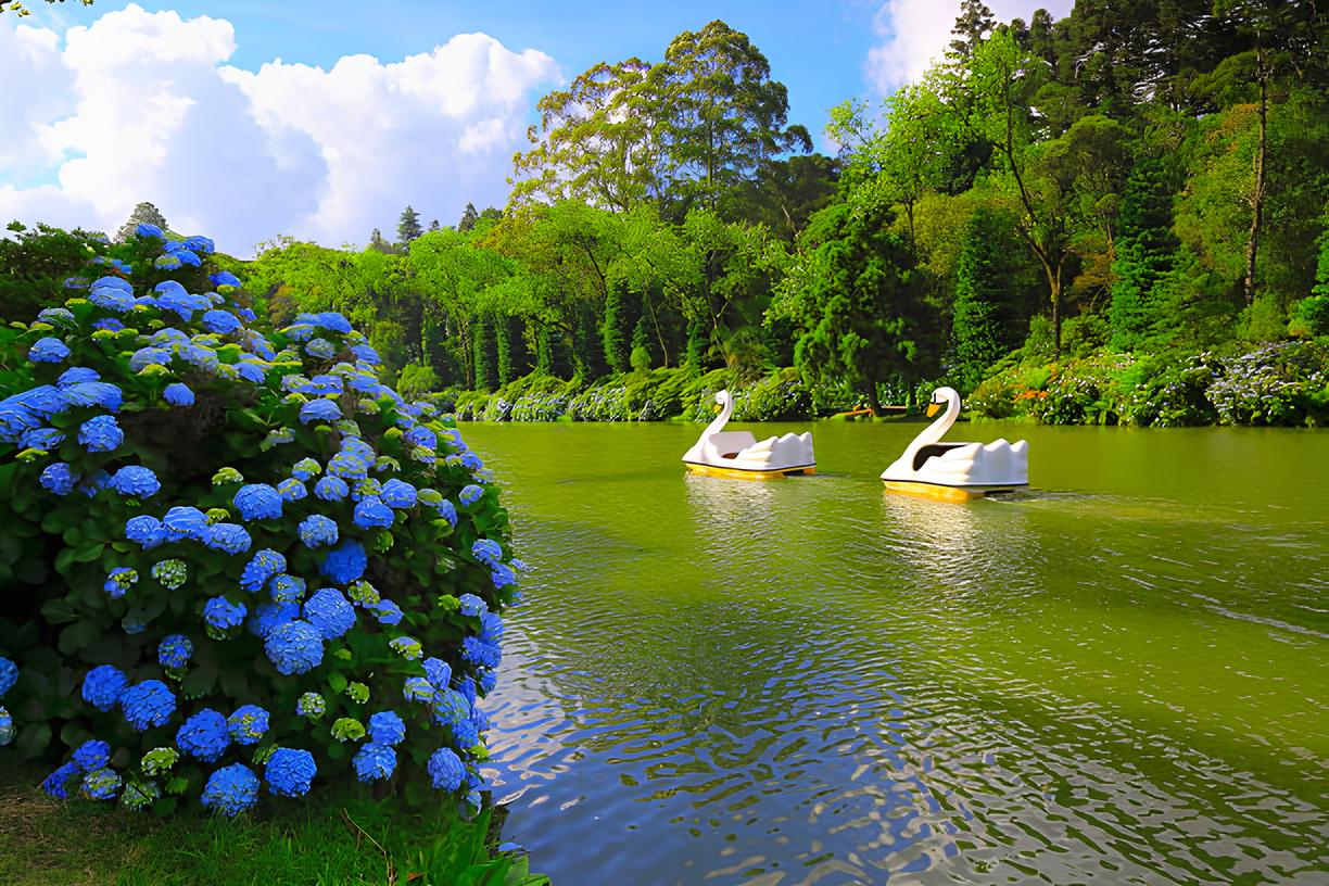 Gramado 2